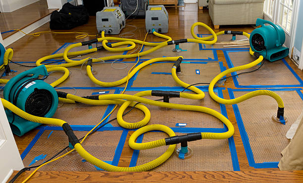 Professional Burst Pipe Water Damage technician working in California, PA